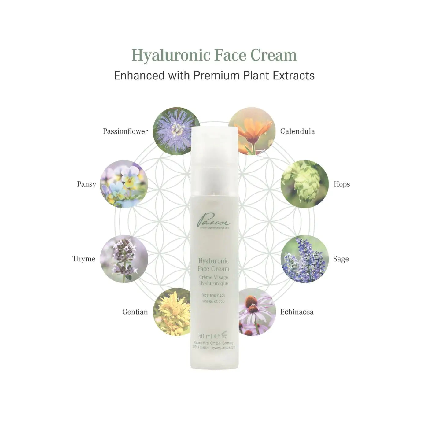 Hyaluronic Face Cream