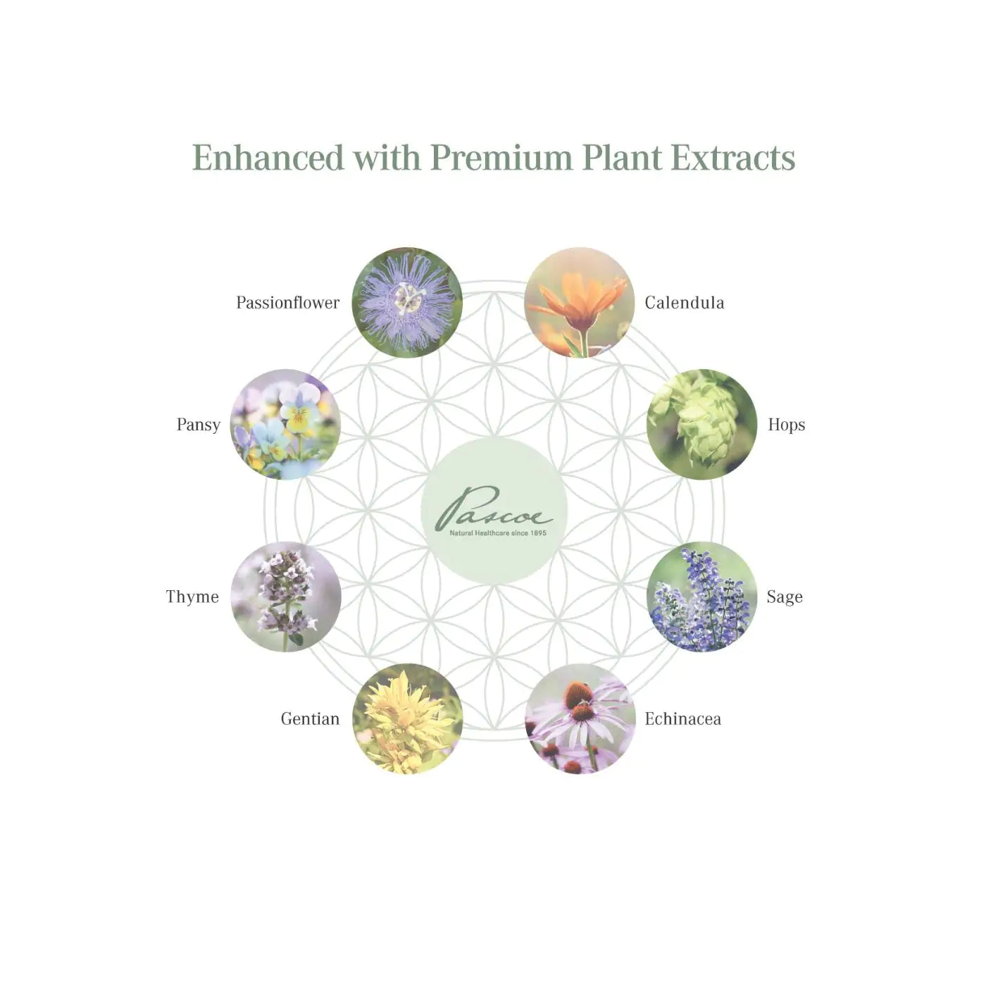 Pascoe Rejuvenating Skincare Kit