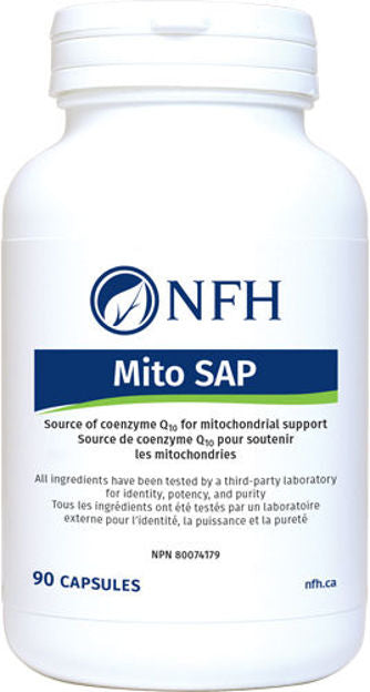 Mito SAP